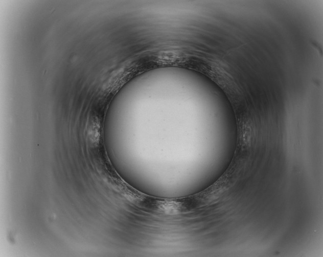 X0000102220226200808011210