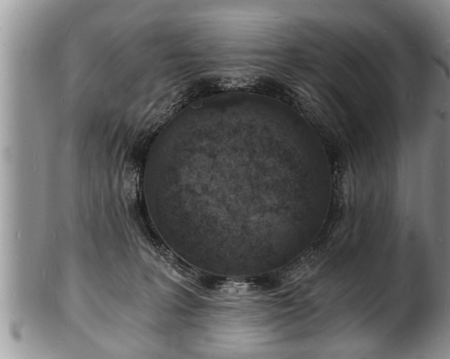 X0000102220227200808011210