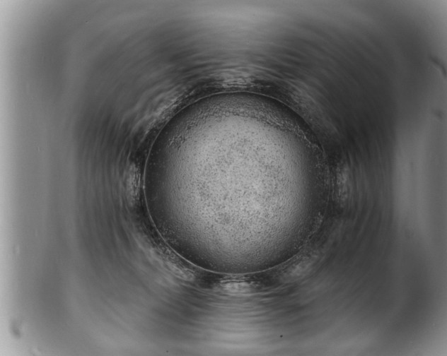 X0000102220228200808011210