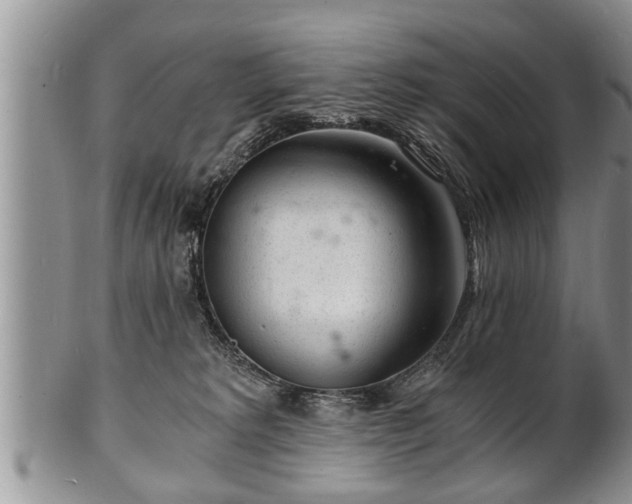 X0000102220229200808011210