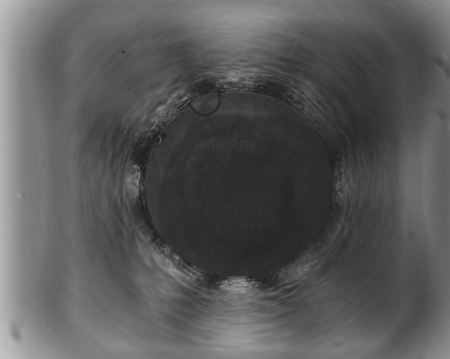 X0000102220231200808011210