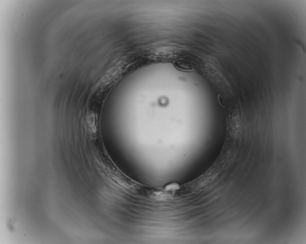 X0000102220232200808011210