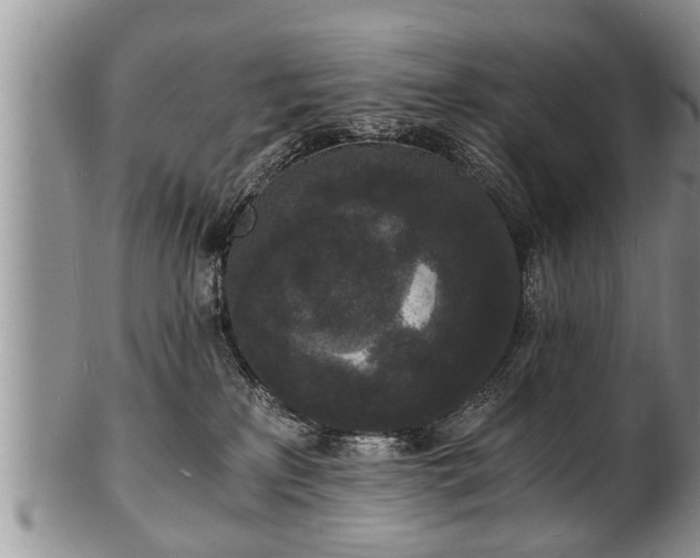 X0000102220233200808011209