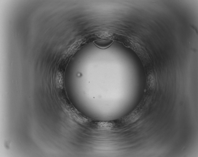 X0000102220234200808011209