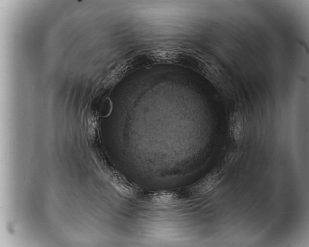 X0000102220235200808011209