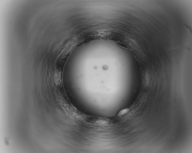 X0000102220236200808011209