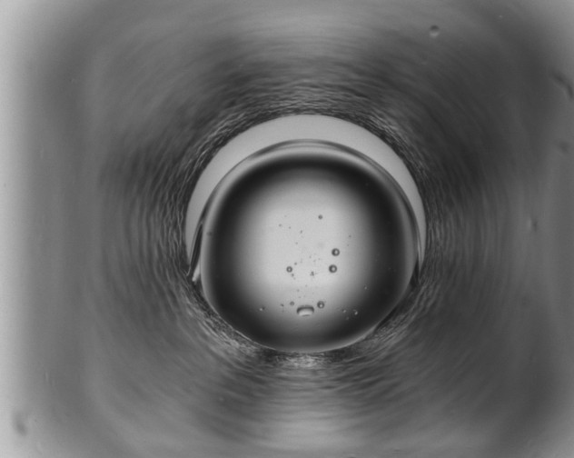 X0000102220237200808011209