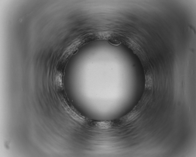 X0000102220238200808011209