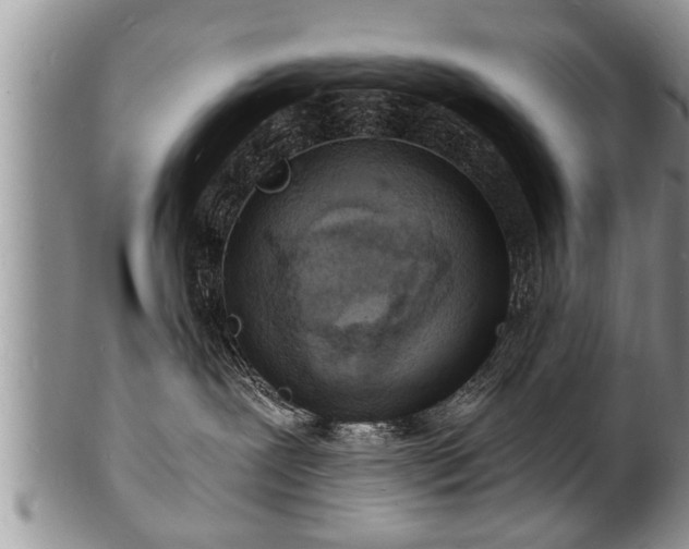 X0000102220239200808011209