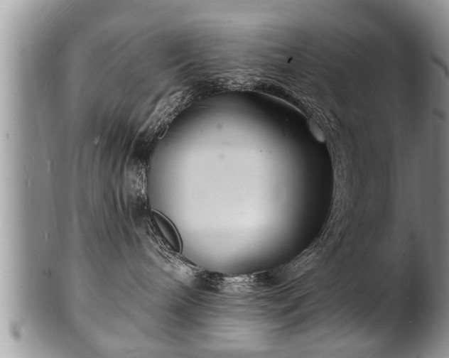 X0000102220240200808011209