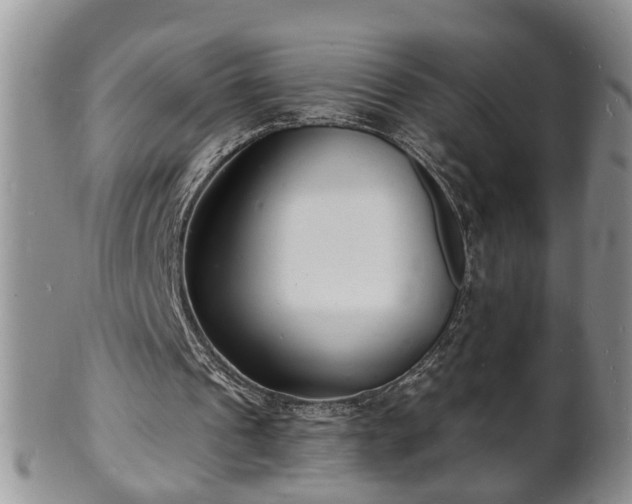 X0000102220241200808011209