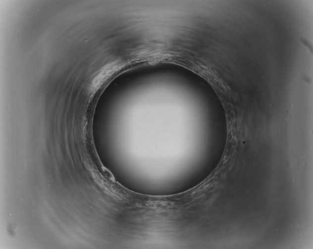 X0000102220242200808011209