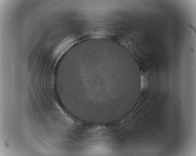 X0000102220243200808011209