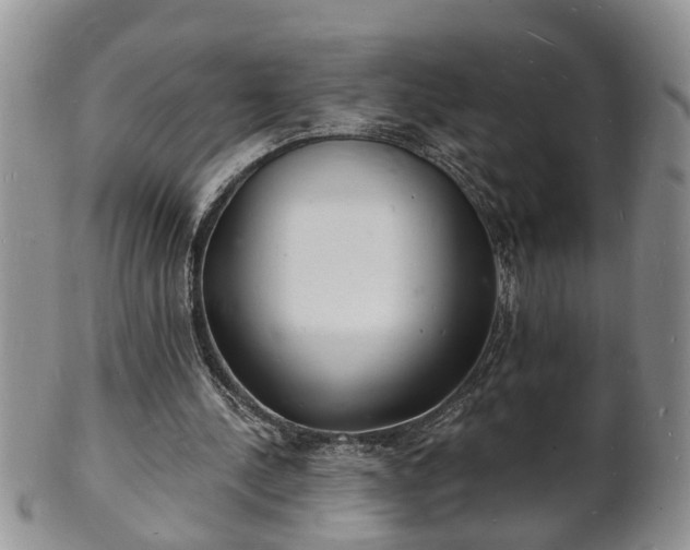 X0000102220244200808011209