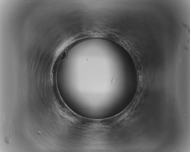 X0000102220246200808011209