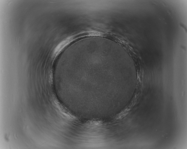 X0000102220247200808011209