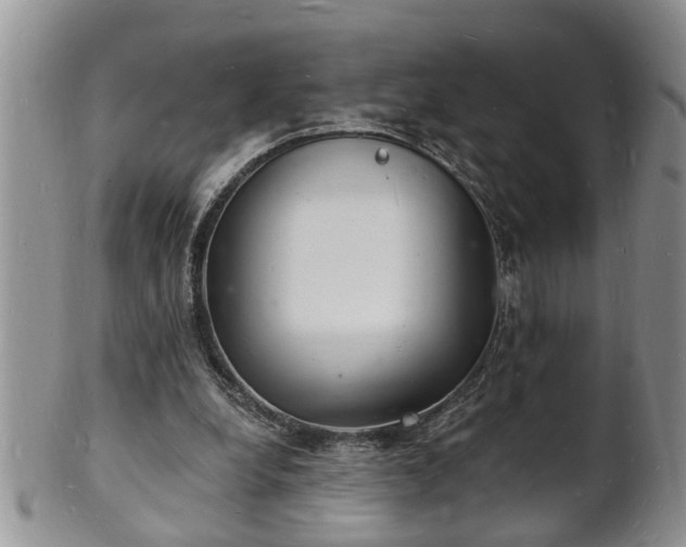 X0000102220248200808011209