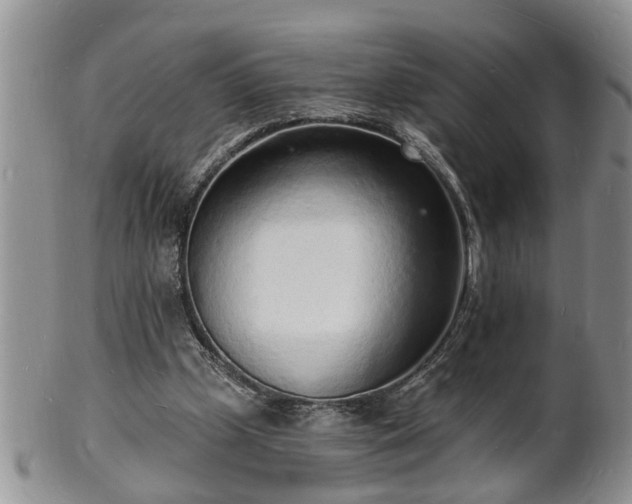 X0000102220249200808011209