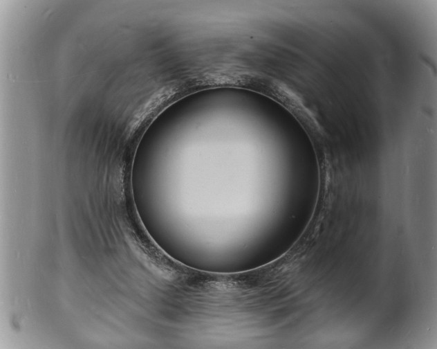 X0000102220250200808011209