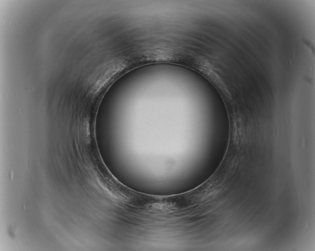 X0000102220251200808011209