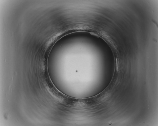 X0000102220252200808011209