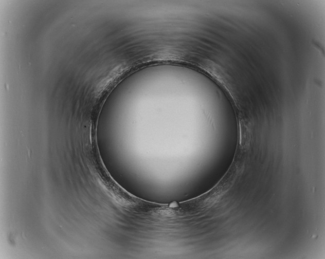 X0000102220253200808011209