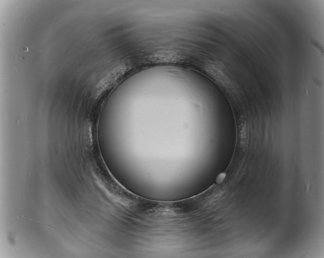 X0000102220254200808011209