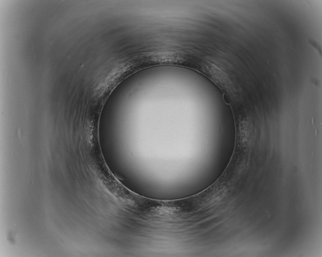 X0000102220255200808011209