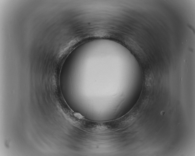 X0000102220256200808011209