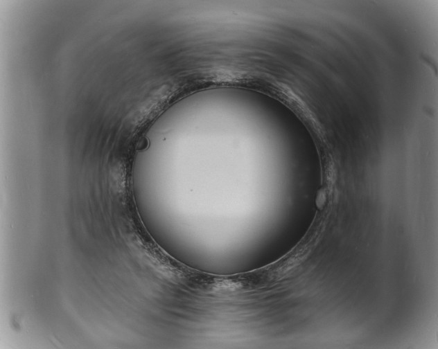 X0000102220257200808011209