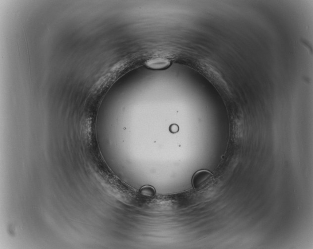 X0000102220260200808011209