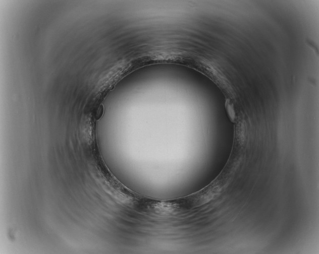 X0000102220261200808011209