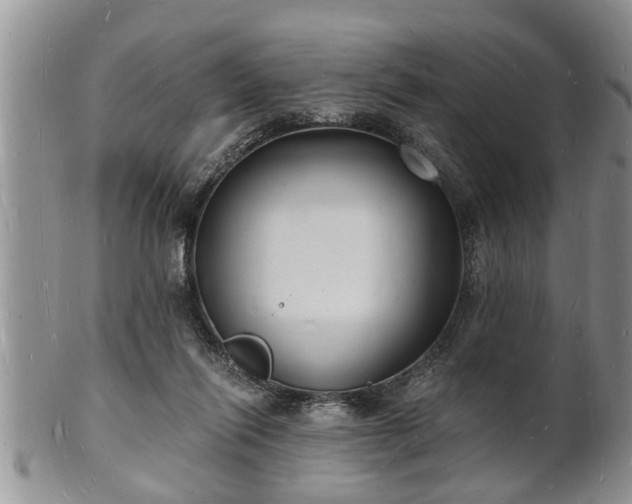 X0000102220262200808011209