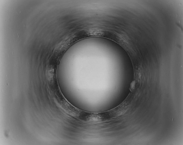 X0000102220263200808011209