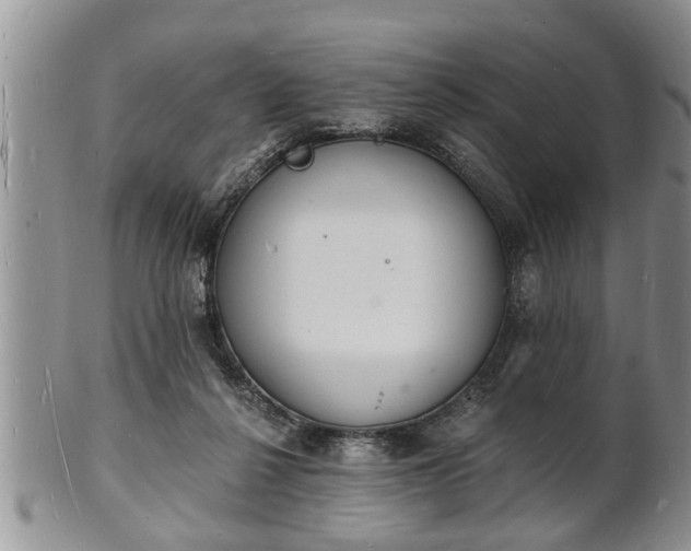 X0000102220264200808011209