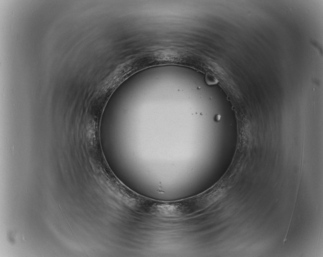 X0000102220265200808011209