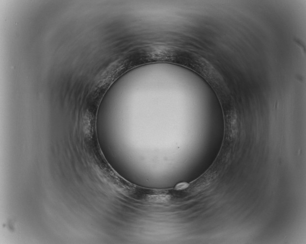 X0000102220266200808011209