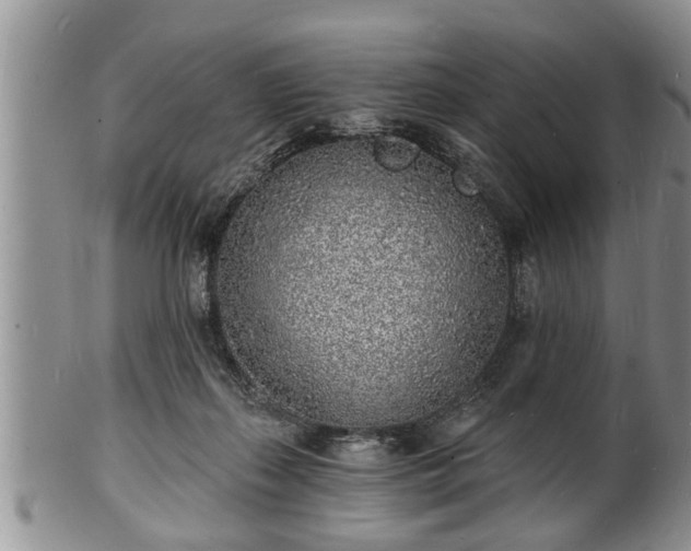 X0000102220267200808011209