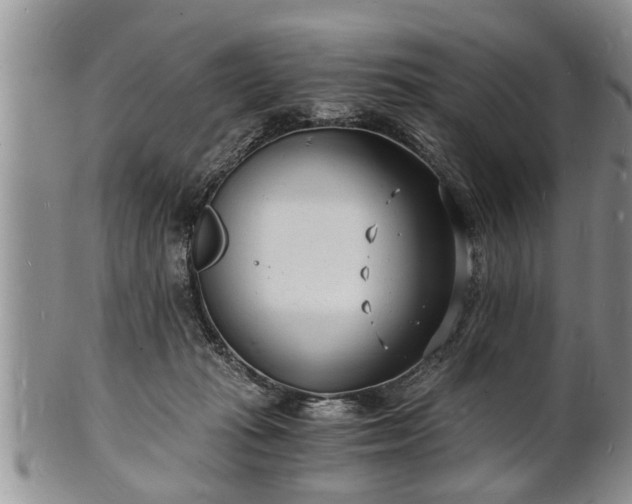 X0000102220269200808011209