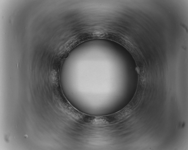 X0000102220270200808011209