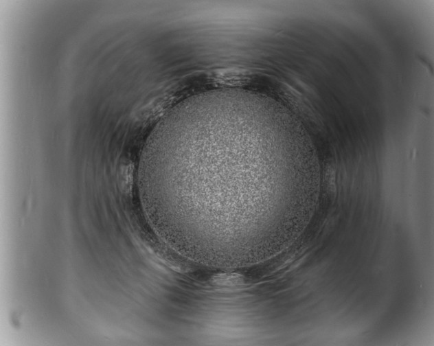 X0000102220271200808011209