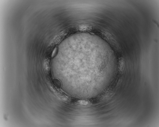 X0000102220272200808011209