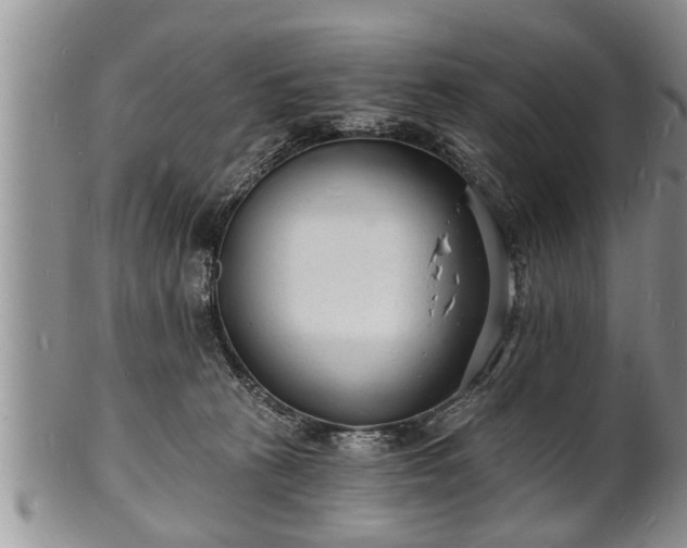 X0000102220273200808011209