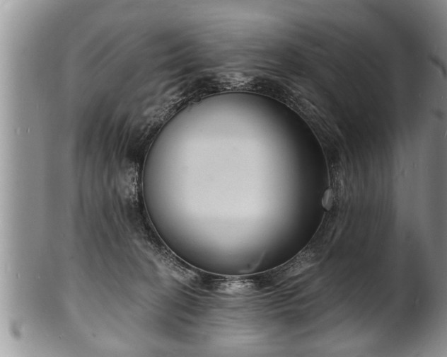 X0000102220274200808011209