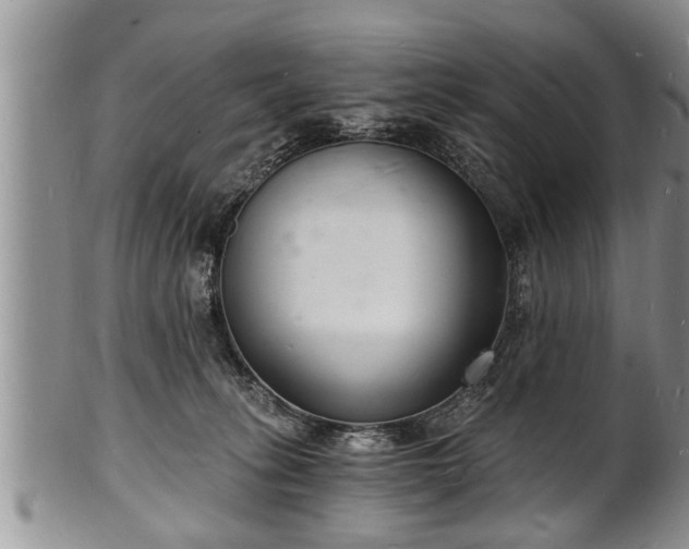 X0000102220275200808011209