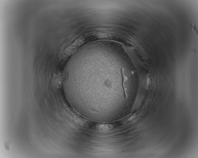 X0000102220277200808011209