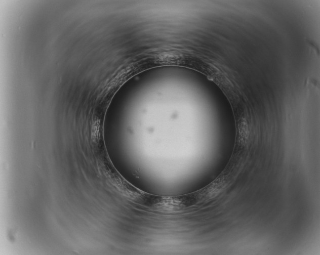 X0000102220278200808011209