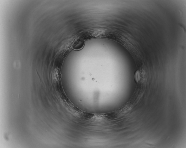 X0000102220280200808011209