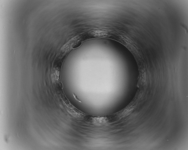 X0000102220281200808011209