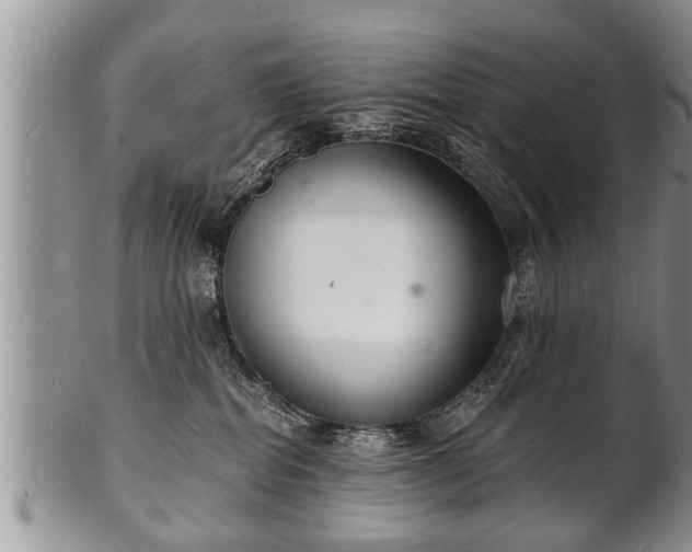 X0000102220282200808011209